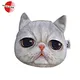 Cat's face coin purse plush bags
